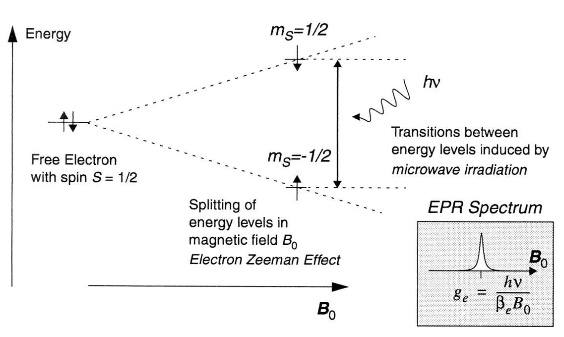 Zeeman Electron Paramagnetic Resonance Eth Zurich - 